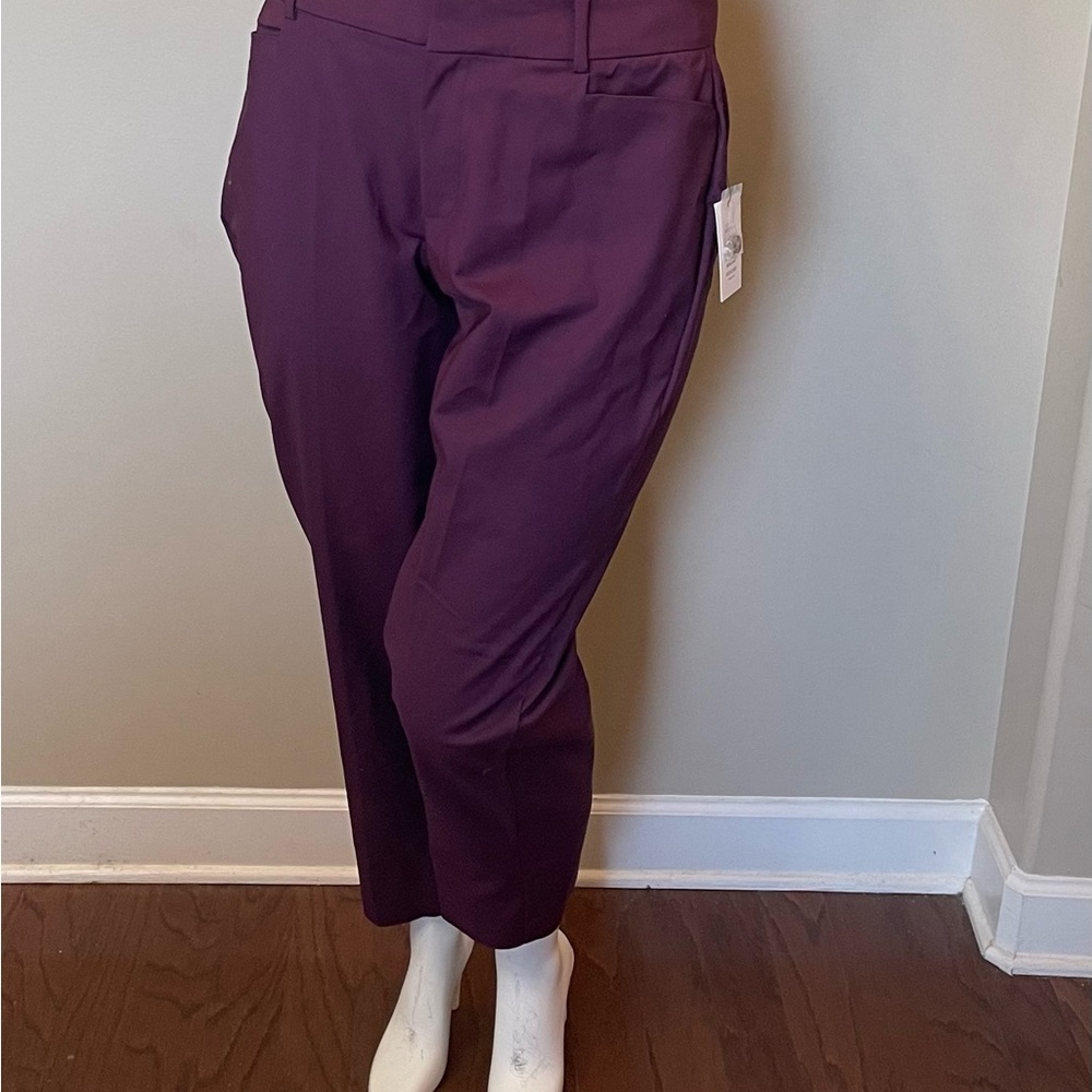 Eloquii Rich Purple and Black Trousers